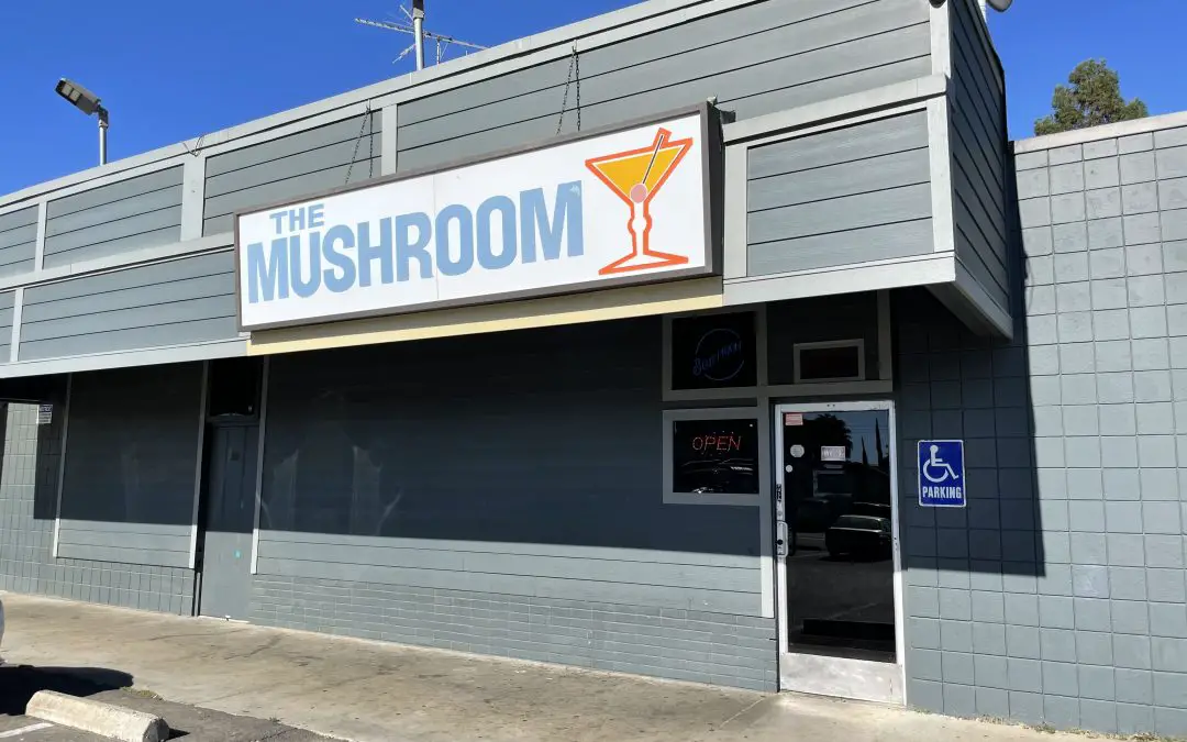 The Mushroom Lounge